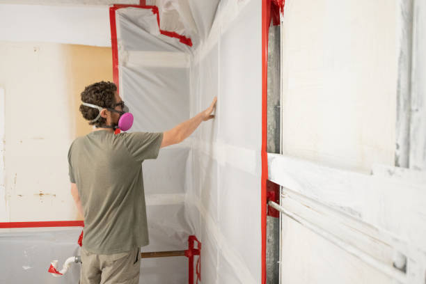 Best Mold Remediation for Healthcare Facilities  in Hoer, OK