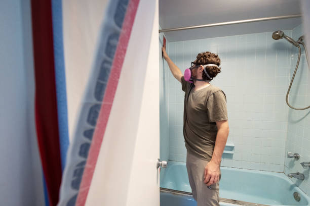 Best Mold Damage Restoration  in Hoer, OK