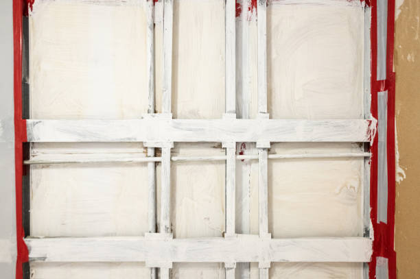 Best Mold Documentation for Insurance Claims  in Hoer, OK