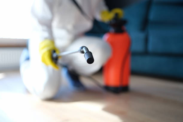 Best Mold Prevention Services  in Hoer, OK