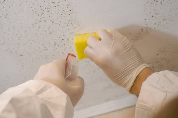 Best Indoor Air Quality Assessment  in Hoer, OK