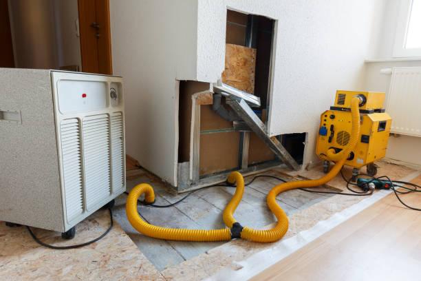 Best Commercial Mold Inspection  in Hoer, OK