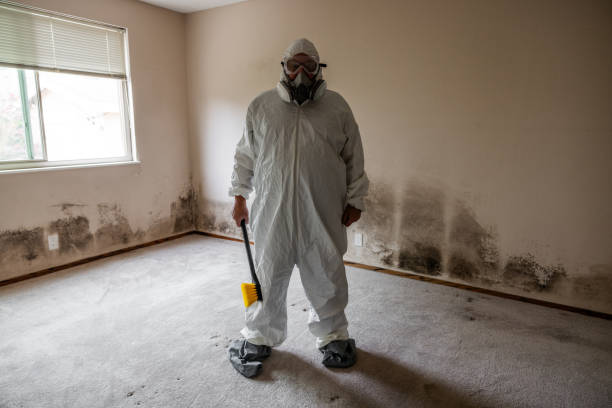 Trusted Hooker, OK Mold Removal Experts